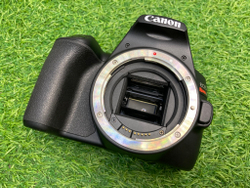 Canon Rebel SL3 (250D) Kit 18-55mm 3.5-5.6 IS II