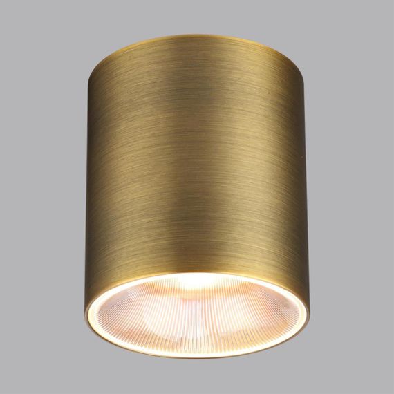 Потолочный светильник Odeon Light HIGHTECH 7137/12CL