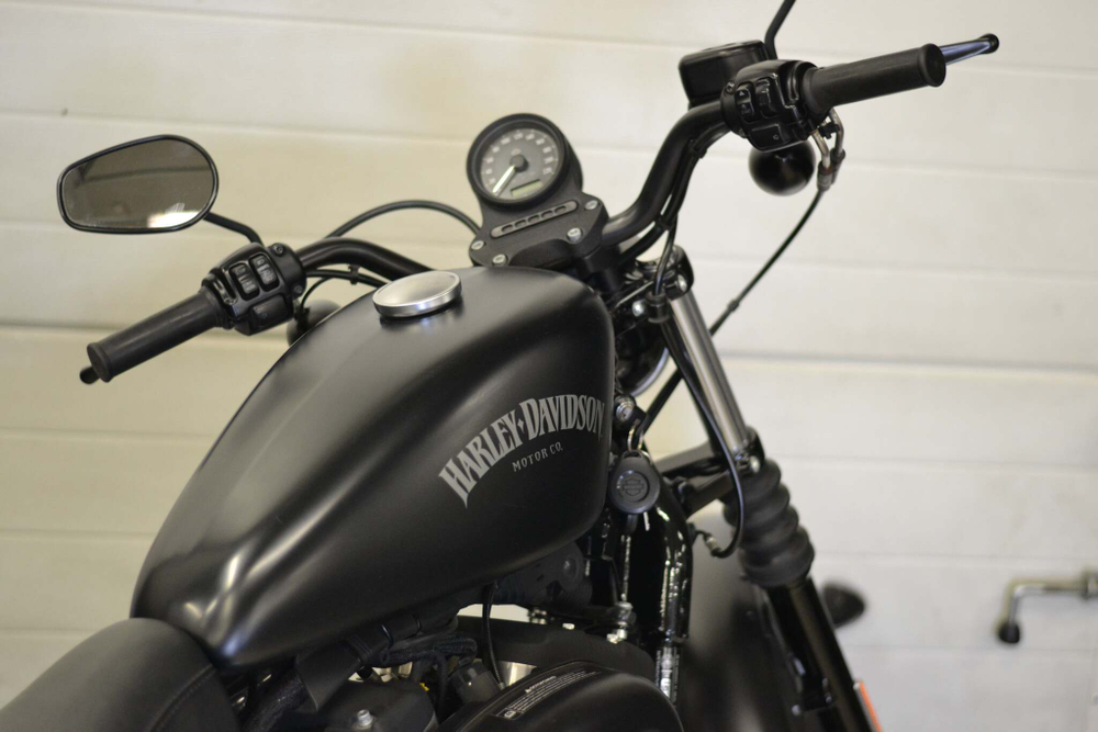 Harley-Davidson Sportster Iron 883™ (XL883N) 2014