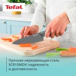 Набор ножей Tefal Slicy K431S304, 3 предмета