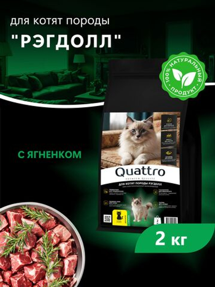 Корм сухой для котят породы Рэгдолл, с ягненком, 2кг, QUATTRO