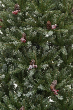 Искусственная елка Данхилл Снежная Сказка 213 см. (31HDUF570)