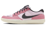 Кроссовки Nike Sb Force 58