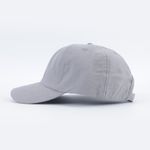 Кепка Anteater 6Panel (grey)