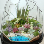 Флорариум с суккулентами Астероид с озером