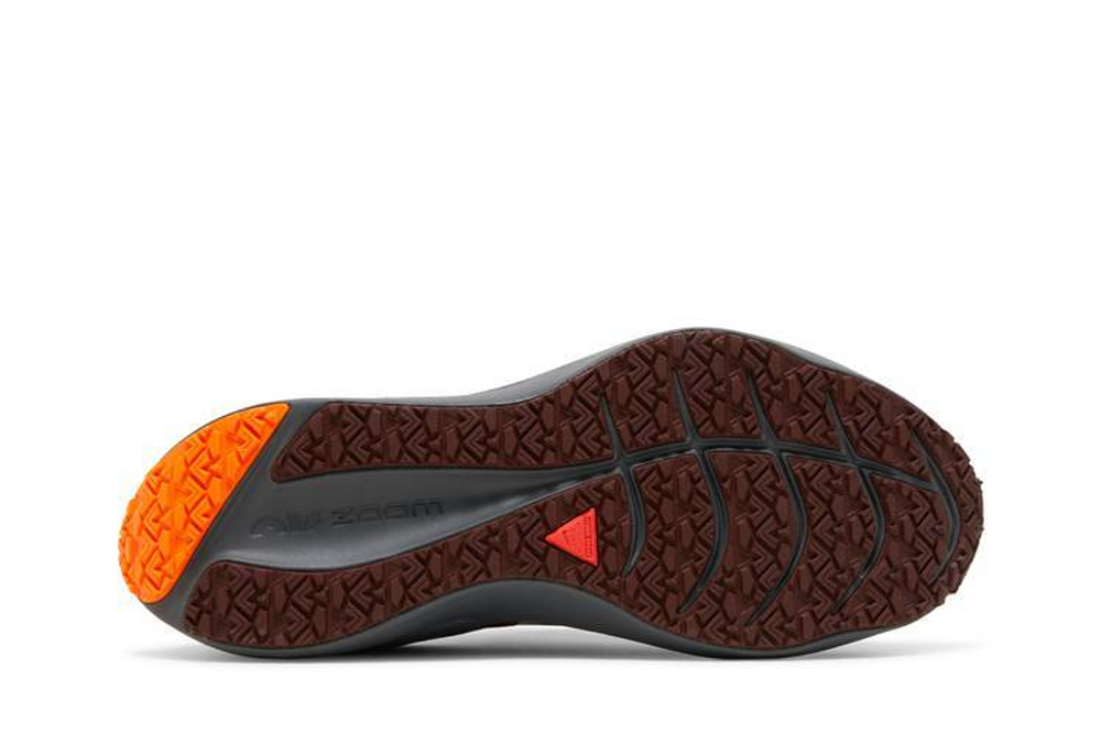 Кроссовки Nike Zoom Winflo 8 Shield