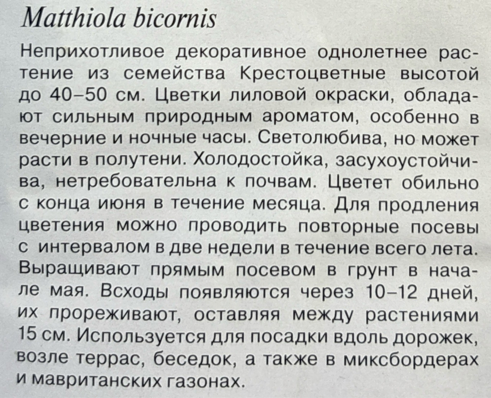 Маттиола Летняя песня 1+1/0,6 г СМЦ-62