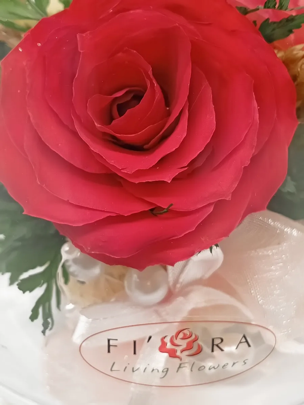 натуральные розы в стекле, вакуум