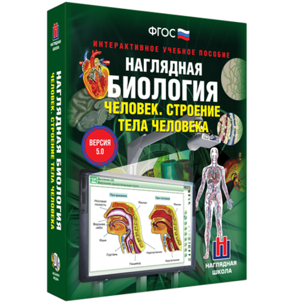 Наглядная биология. 8 - 9 классы. Человек. Строение тела человека