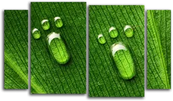 Модульная картина "Красивые капли"