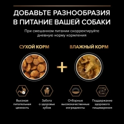Pro plan duo delice small mini сухой корм для взрослых собак мелких и карликовых пород с говядиной - 700 г
