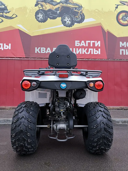 Квадроцикл PROMAX RENEGADE 280 (2025)