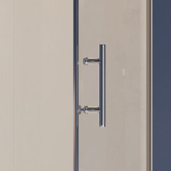 Душевая дверь RGW HO-012 (Прозрачное, 1200)