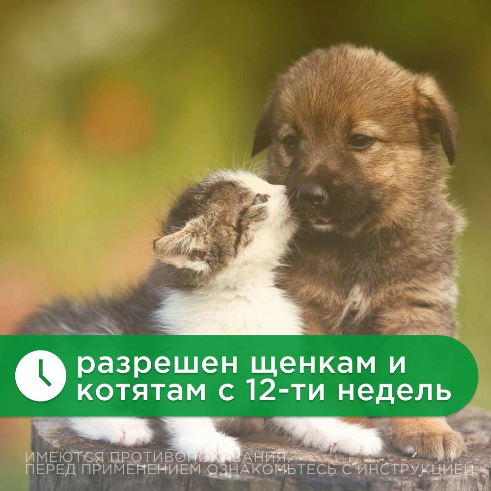 Капли на холку от клещей, блох и комаров для кошек и собак от 4-10 кг Protecto (Neoterica), 2 пипетки. Имидаклоприд/Этофенпрокс/Пирипроксифен
