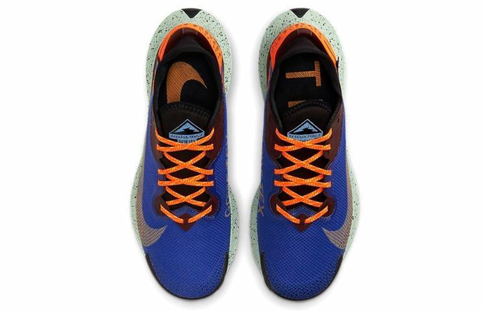 Кроссовки Nike Pegasus Trail 2 Zoom Gore-Tex