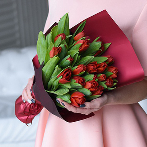 Купить Букет 21 красный тюльпан