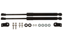 Упоры капота для OMODA S5, 2023-, к-т 2 шт ARBORI.HD.068101