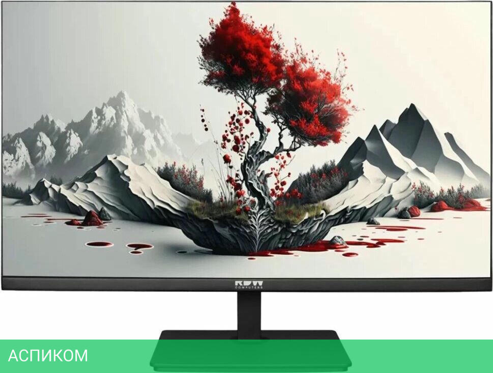 Монитор RDW Computers 2401K черный (F00В3100V2A1H)