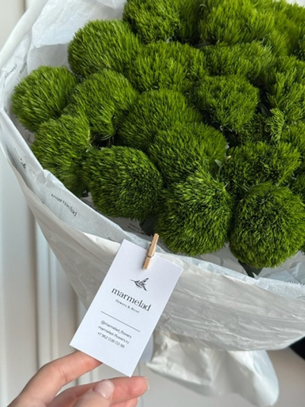 Моно букет из диантусов сорта Грин трик 25 шт