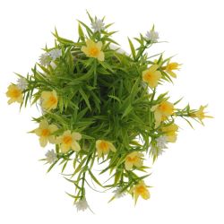 GAEM Цветочная композиция, L14 W14 H17 см, 4в.