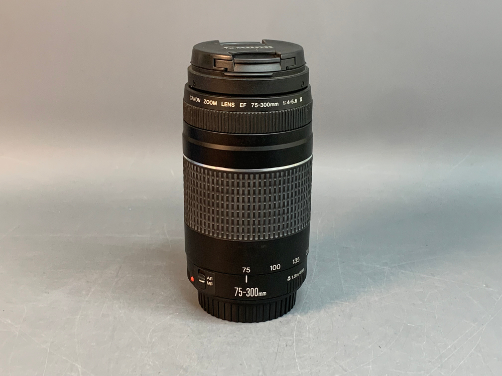 Canon EF 75-300mm 4-5.6 III