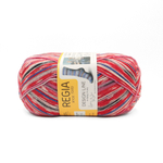 Regia Design Line 4 ply - 03885 (henningsvaer color)