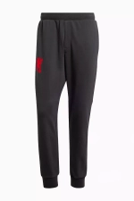 Штаны adidas Manchester United 23/24 Cultural Story