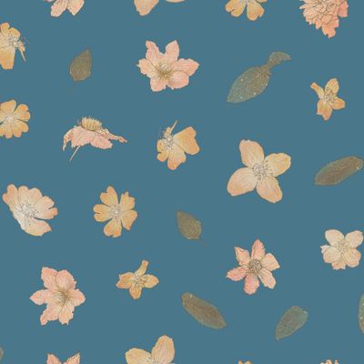 Оранжево-розовые цветы на темно-синем