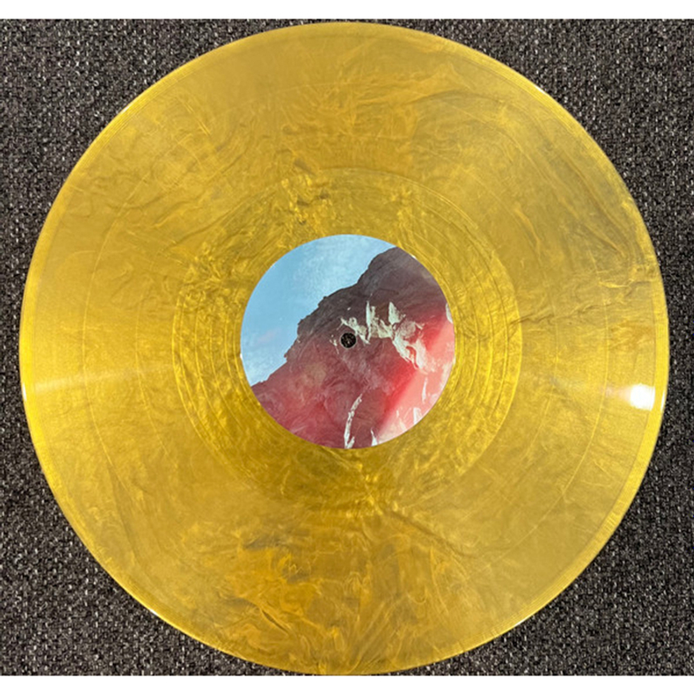 Unknown Mortal Orchestra / V (Coloured Vinyl)(2LP)