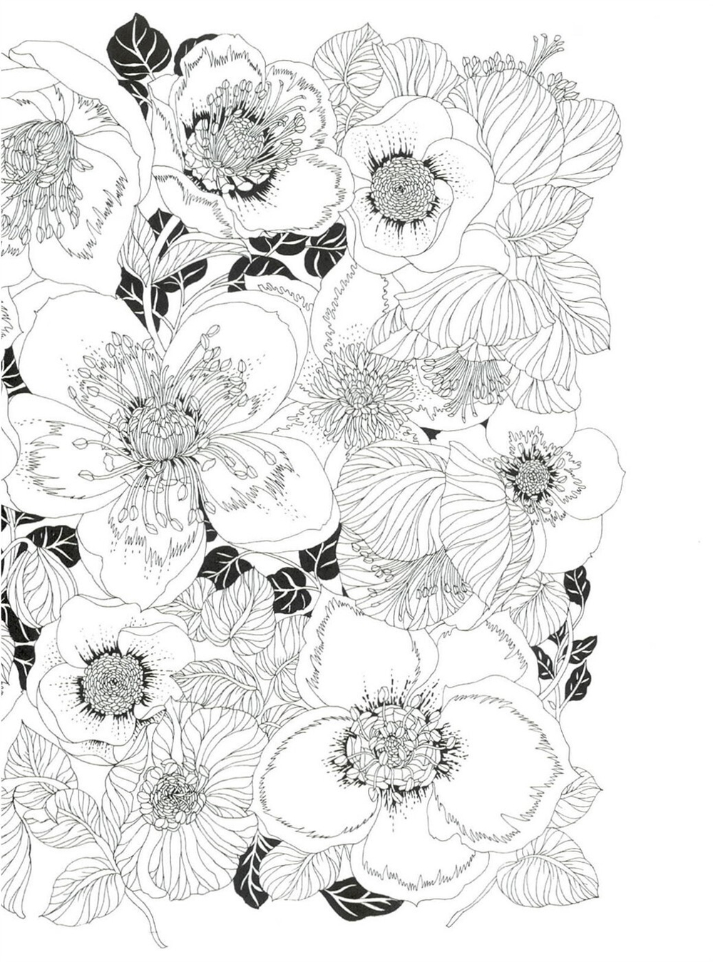 The flower year. Coloring Book (Korea)