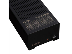 Усилитель для акустики Spotless Audio P250 Monoblock 2 шт