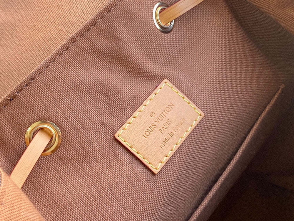 Louis Vuitton Montsouris Backpack PM