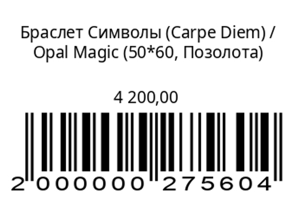 Браслет Символы (Carpe Diem)