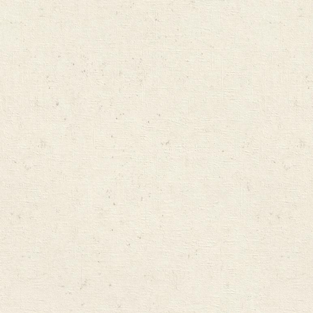 Обои RASCH Concrete 974201