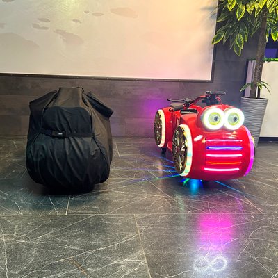 Универсальный чехол для электромобилей и качалок