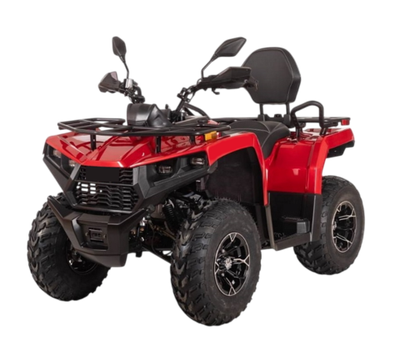 Электроквадрицикл Bizon YK250EL LUX