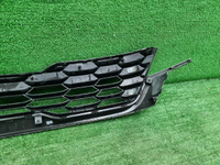 Решетка радиатора Kia Seltos (2019-2022)