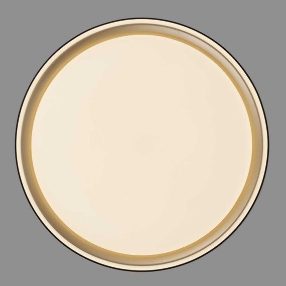 Потолочный светодиодный светильник Citilux Boss CL751251G