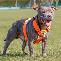 Шлейка TRI BullyBillows