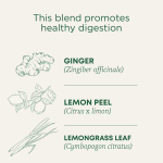 Traditional Medicinals, Herbal Teas, органический лимонный имбирь, без кофеина, 16 чайных пакетиков, 32 г (1,13 унции)