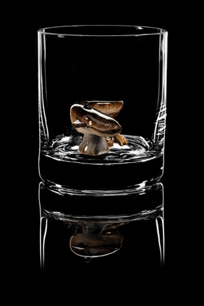 Бокал для виски. "Рыба "Сом". Новая коллекция.