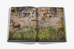 Assouline Книга Londolozi: The Safari that Changed Everything на английском языке