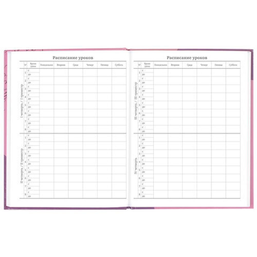 Дневник 5-11 класс 48 л., твердый, BRAUBERG, глянцевая ламинация, с подсказом, "Сладкая Жизнь", 106400