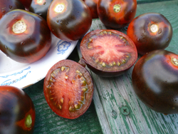 Помидоры - Blue Chocolate - Синий Шоколад