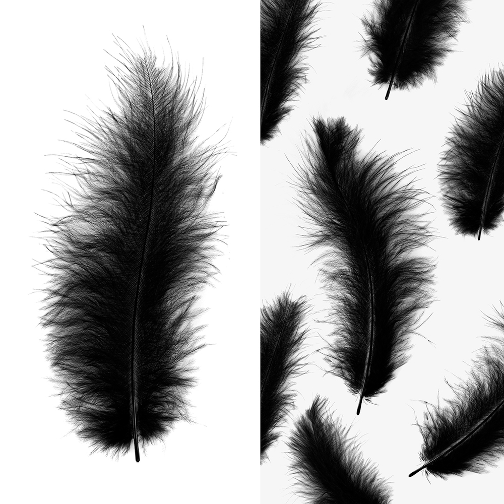 Перья, Премиум, Черный, 12-15 см, 30 шт.