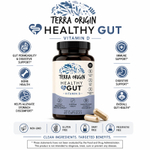 Terra Origin, Healthy Gut™, капсулы с витамином D, 60 капсул