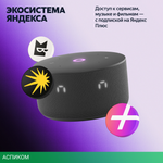 Умная колонка Яндекс Станция Мини 3 черный (YNDX-00027BLK)