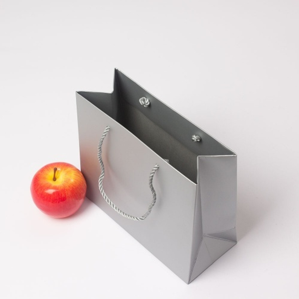 Пакет 23x20x10, серебро, витой шнур, картон VIP