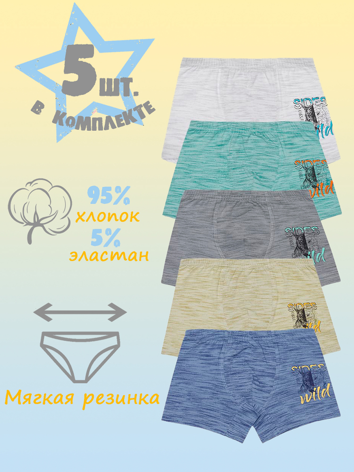 Боксеры для мальчика (5 штук в упаковке)