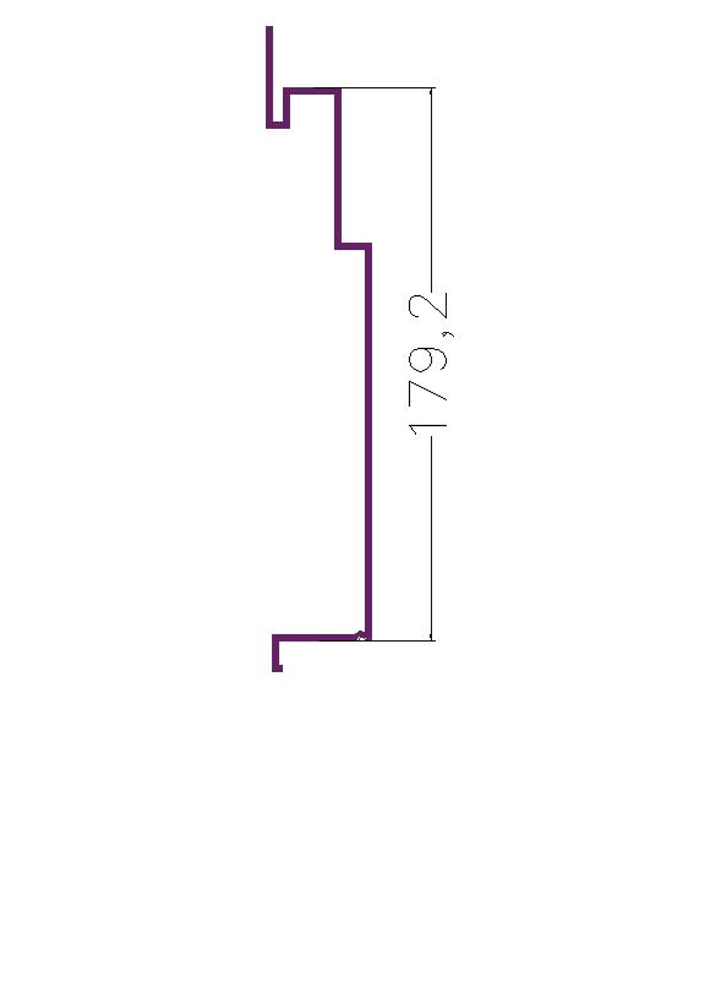 RD 1 Рейка алюминиевая (6,0) RAL
